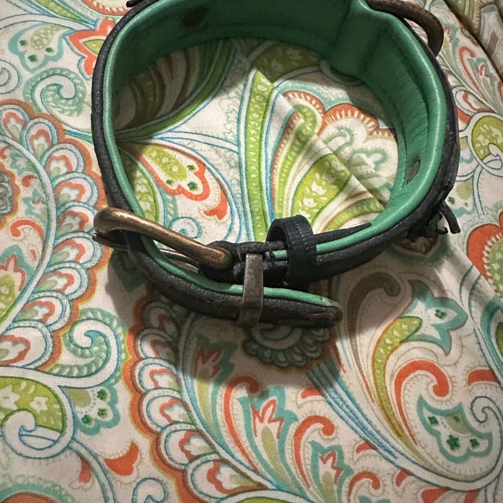 Green/Blue Leather Dog Collar